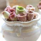 Fresh 25 Seeds Rose Succulents Cact Garden