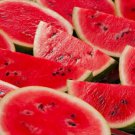 Fresh 15 Seeds Juicy Red Watermelon Large Summer Time Planting Fruit Garden