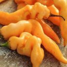 Fresh 25 Seeds Sugar Rh Peach Pepper Easy To Grow Vegetable Garden