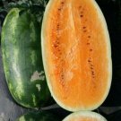 Fresh 15 Seeds Juicy Orange Watermelon Large Summer Time Planting Fruit Garden