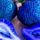 Fresh 200 Seeds Blue Strawberries Berries Plants Planting Strawberry Garden