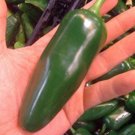 Fresh 25 Seeds Jalapeno Pepper Green Giant Hot Spicy Edible Vegetable Garden