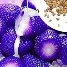 Fresh 200 Seeds Purple Strawberries Berries Plants Planting 200 Garden