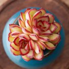 Echeveria Pulidonis Rare Succulent Exotic Hen And Chicks Plant Seed 50 Seeds Fresh Garden