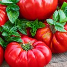 Buffalosteak Hybrid Tomato Red Sweet Exotic Fruit Vegetables Plant Seed 25 Seeds Fresh Garden