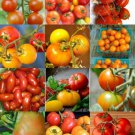 Tomato Mix Heirloom Vegetable Organic Fruit Exotic Edible Seed 25 Seeds Fresh Garden