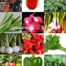 Herbs & Spices Mix Heirloom Flavor Non Gmo Assorted Edible Seed 150 Seeds Fresh Garden