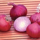 Onion Red Creole Onios Allium Cepa Vegetable Herb Salad Spice Seed 100 Seeds Fresh Garden
