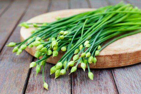 150 Garlic Chive / Chives Herb Seeds Non Gmo Fresh Garden