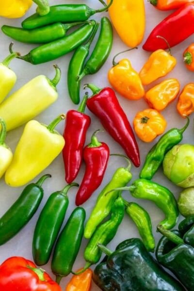 5 Pack Pepper Seed Collection Non Gmo Fresh Garden