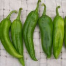 25 Hatch Rattlesnake Pepper Seeds Non Gmo Fresh Garden
