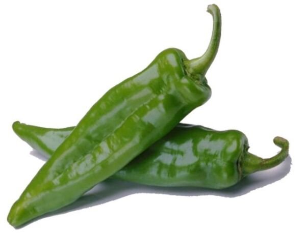 25 Anahiem Pepper Seeds Non Gmo Fresh Garden