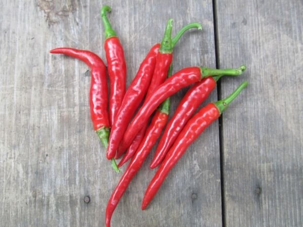 25 Long Thin Red Cayenne Pepper Seeds Non Gmo Fresh Garden
