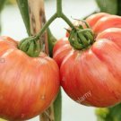 50 Vintage Wine Tomato Seeds Heirloom Non Gmo Fresh Garden