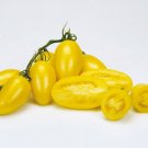 25 Cream Sausage Tomato Seeds Heirloom Non Gmo Fresh Garden