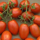 50 Roma Italian Tomato Seeds Heirloom Non Gmo Fresh Garden