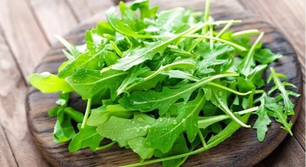 400 Arugula "Rocket" Seeds 1 Gram Leafy Greens Mustard Fresh Garden