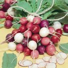 100 Fiesta Blend Seeds Heirloom Fresh Garden