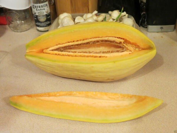 25 Banana Melon Seeds Non Gmo Fresh Garden