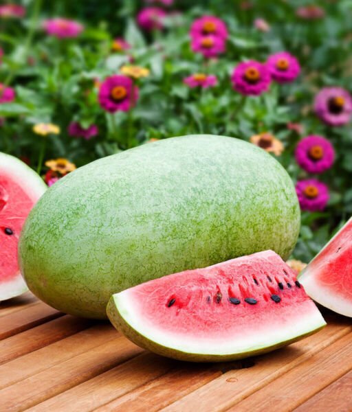 25 Watermelon Charleston Gray Seeds Fresh Garden