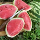 25 Watermelon Crimson Sweet Seeds Fresh Garden