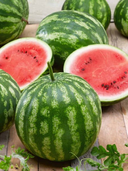 25 Watermelon Cal Sweet Supreme Seeds Fresh Garden
