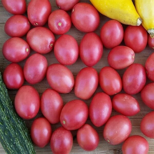 50 Pink Thai Egg Tomato Seeds Heirloom Non Gmo Fresh Garden