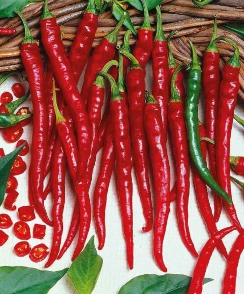 50+ Cayenne Long Red Slim Chili Pepper Seeds Fresh Garden