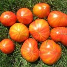 Mr. Stripey Tomato Seeds 25 Ct Vegetable Heirloom Non Gmo Indeterminate Fresh Garden