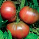 Black From Tula Tomato Seeds 50 Ct Vegetable Heirloom Non Gmo Fresh Garden