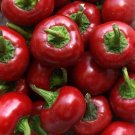 Red Cherry Hots Hot Pepper Seeds 50+ Cherry Bomb Vegetable Heirloom Fresh Garden