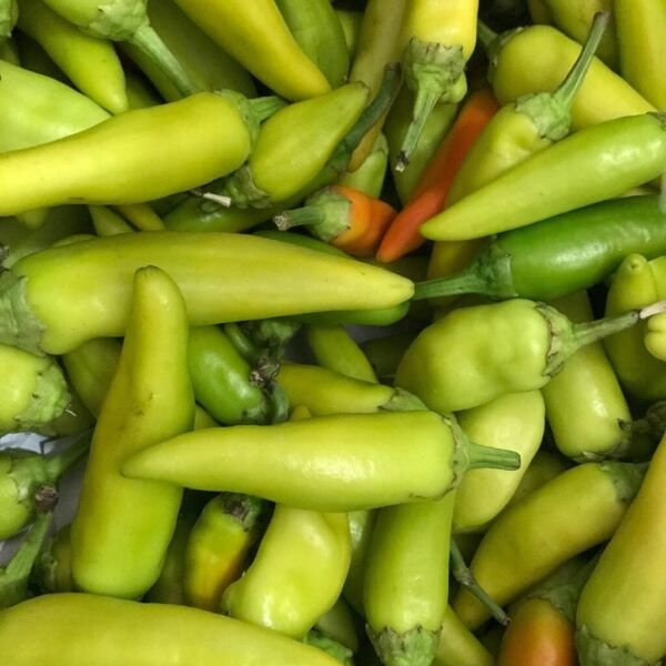 Pepperoncini Italian Pepper Seeds 25+ Mild Vegetable Non Gmo Heirloom Fresh Garden