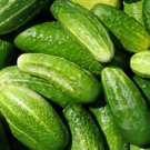 Marketmore Cucumber Seeds 50+ Vegetable Heirloom Non Gmo Fresh Garden