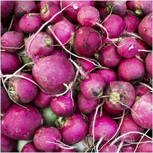 Purple Plum Radish Seeds 200 Ct Vegetable Heirloom Non Gmo Fresh Garden