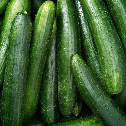 Marketer Cucumber Seeds 50+ Vegetable Heirloom Non Gmo Fresh Garden