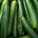 Marketer Cucumber Seeds 50+ Vegetable Heirloom Non Gmo Fresh Garden