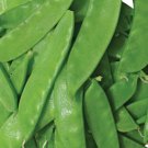 Oregon Sugar Pod Ii Pea Seeds 25 Ct Snow Pod Vegetable Heirloom Fresh Garden