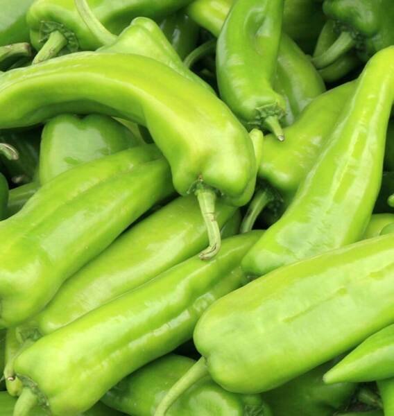 Anaheim Chile Pepper Seeds 100+ Vegetable Non Gmo Heirloom Fresh Garden