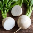 Radish Seeds Hailstone White 200 Ct Vegetable Non Gmo Fresh Garden