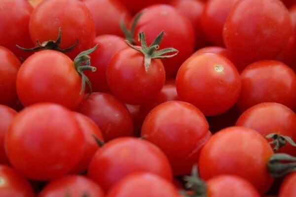 Large Red Cherry Tomato Seeds 100 Ct Vegetable Heirloom Non Gmo Fresh Garden