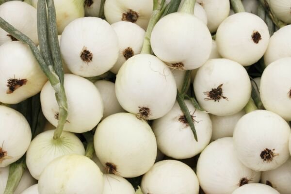 Onion Seeds 200+ White Sweet Spanish Mild Vegetable Non Gmo Fresh Garden