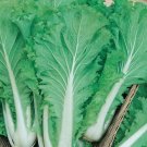 Chinese Michihili Cabbage Seeds 500+ Vegetable Non Gmo Fresh Garden