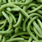 Dark Armenian Cucumber Seeds 50+ Long Snake Serpent Vegetable Fresh Garden