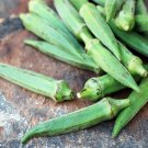 Emerald Okra Seeds 50 Ct Vegetable Non Gmo Heirloom Fresh Garden