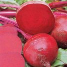 Beet Seeds Ruby Queen 100 Ct Vegetable Non Gmo Fresh Garden