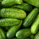 National Pickling Cucumber Seeds 50+ Vegetable Non Gmo Fresh Garden