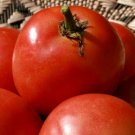 Homestead Tomato Seeds 100+ Vegetable Culinary Slicing Fresh Garden
