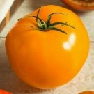 Golden Jubilee Tomato Seeds 50+ Vegetables Sauce Salad Fresh Garden