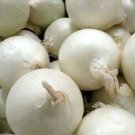 White Onion Seeds 250+ Sweet Spanish Allium Vegetable Fresh Garden