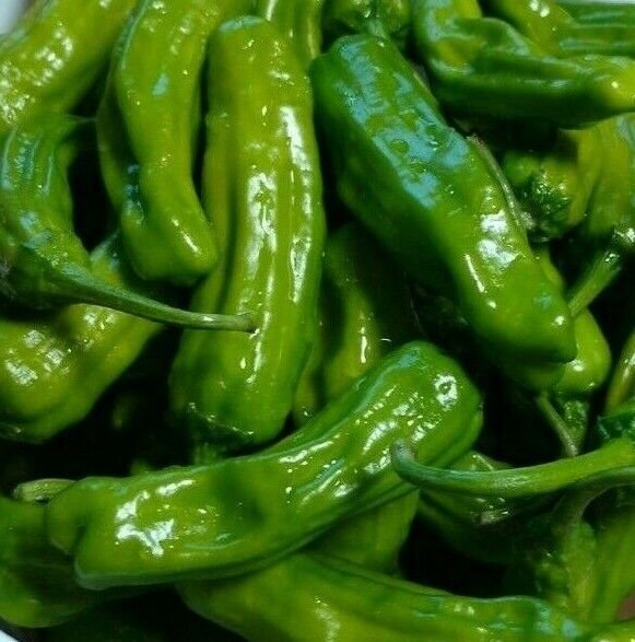 Italian Pepperoncini Pepper Seeds 30+ Mild Heat Spice Vegetables Fresh Garden